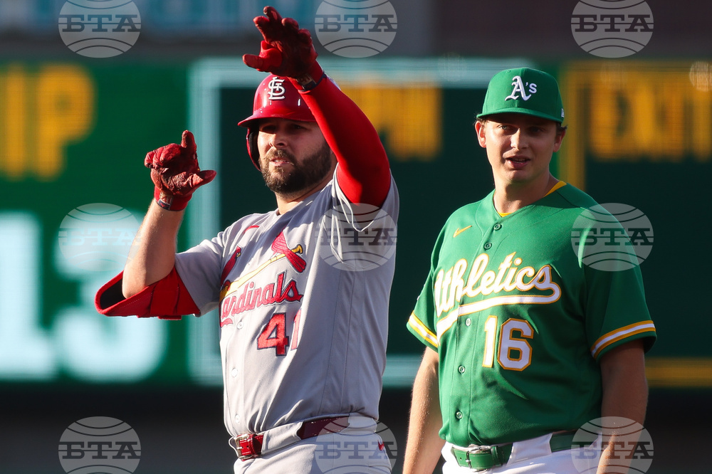 Cardinals Athletics Baseball
