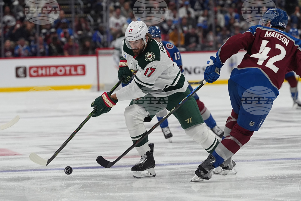 Wild Avalanche Hockey