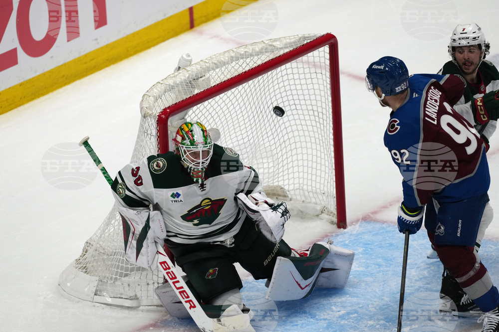 Wild Avalanche Hockey