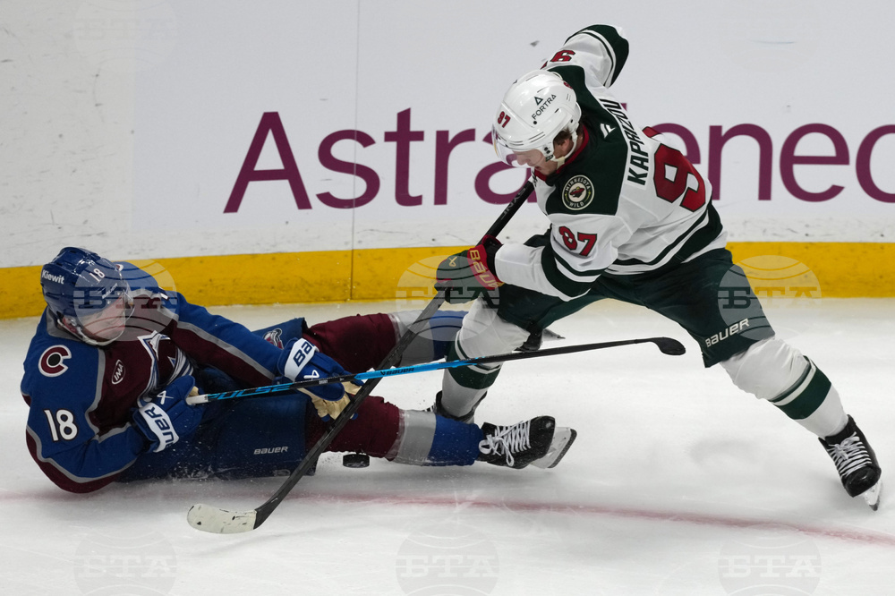 Wild Avalanche Hockey