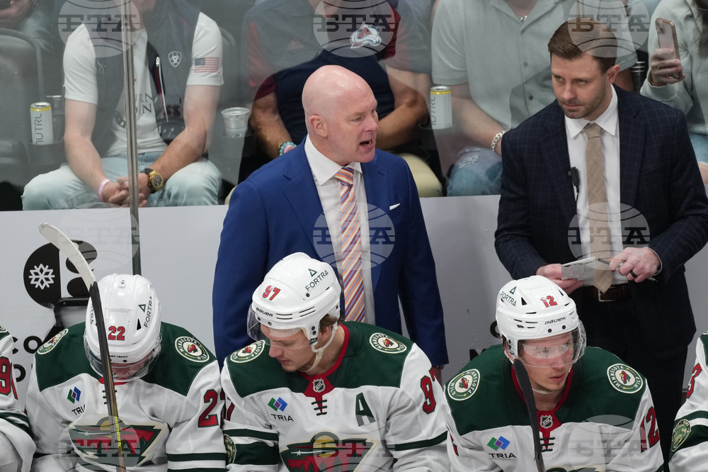 Wild Avalanche Hockey