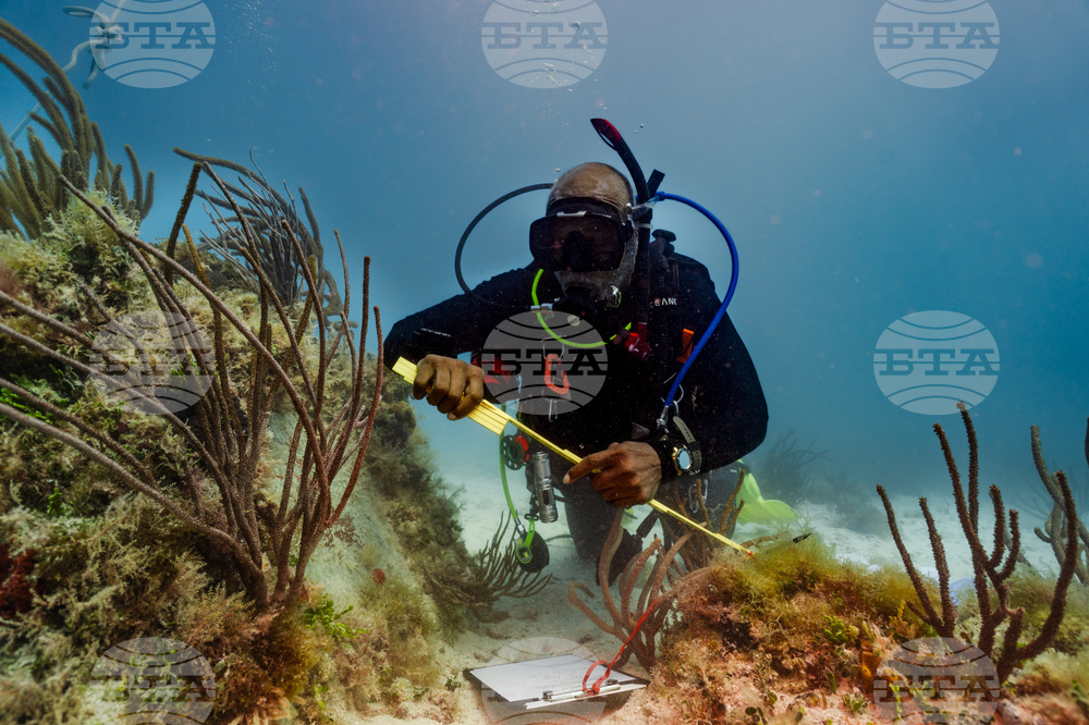 Slave Shipwreck Pilgrimage