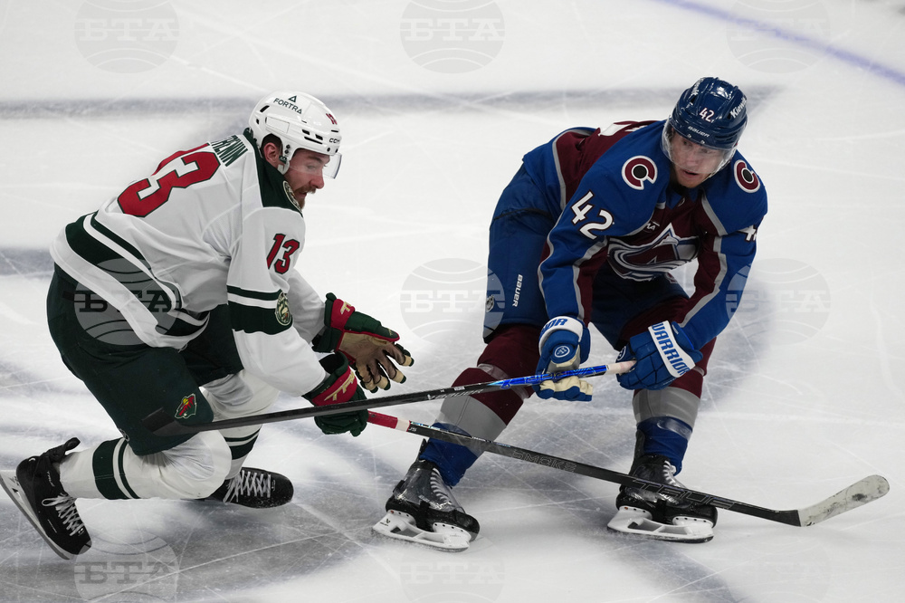 Wild Avalanche Hockey