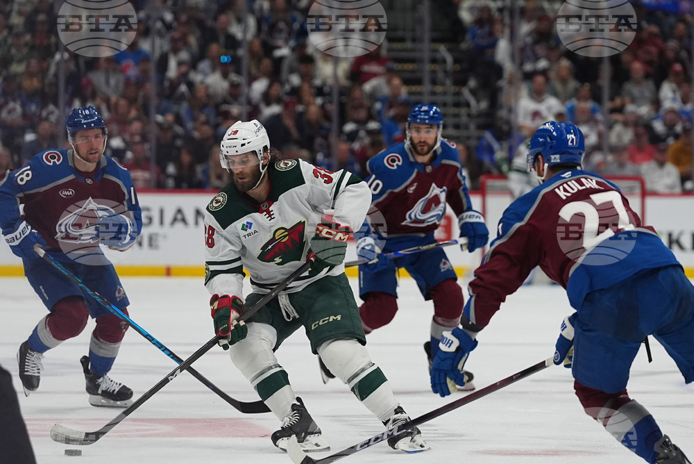 Wild Avalanche Hockey