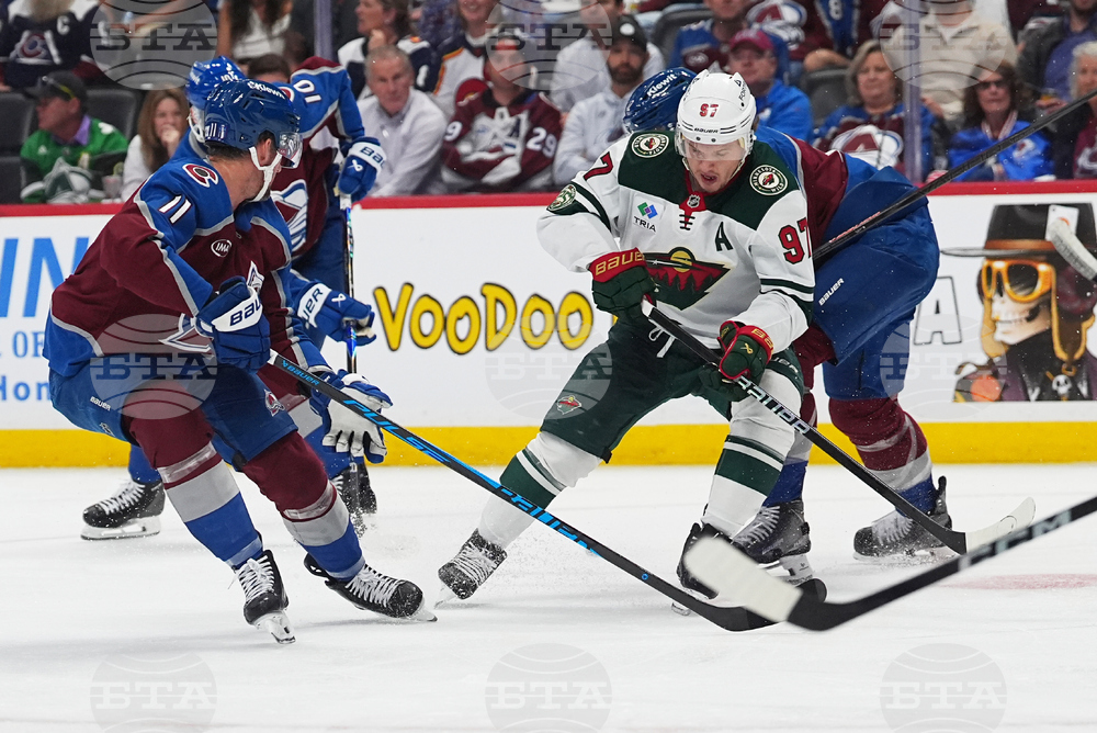 Wild Avalanche Hockey