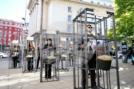 Протест - телета в клетки - отглеждане