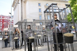 Протест - телета в клетки - отглеждане