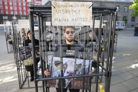 Протест - телета в клетки - отглеждане