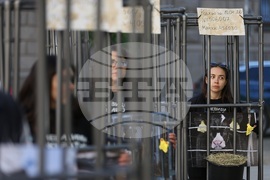 Протест - телета в клетки - отглеждане