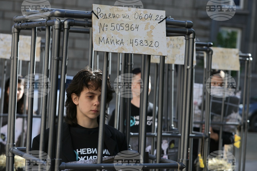 Протест - телета в клетки - отглеждане