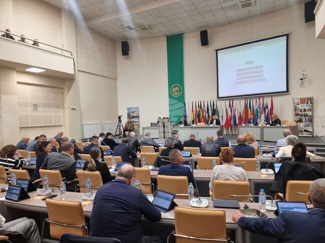 Общинските съветници в Стара Загора не подкрепиха предложение за реконструкция на паметника "Братска могила" в Стара Загора
