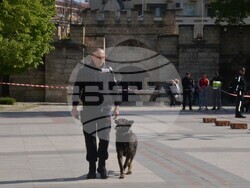 Снимка: Община Видин