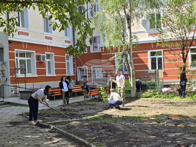 Служители на бюрото по труда в Кърджали облагородиха пространството около сградата на дирекцията по повод професионалния си празник