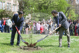 Геологически институт на БАН - Световен ден на Земята