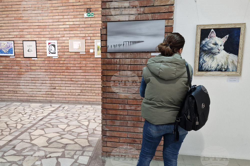 Шумен - Шуменски университет  „Епископ Константин Преславски“ - студентска изложба