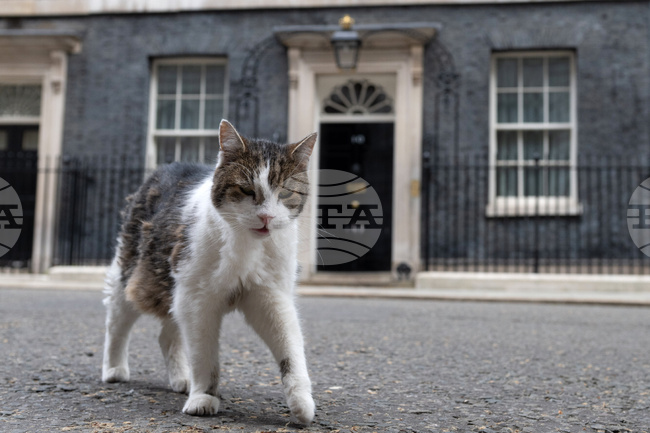 APTOPIX Britain Politics
