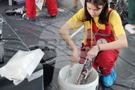 Бургас - "Най-добър млад строител"