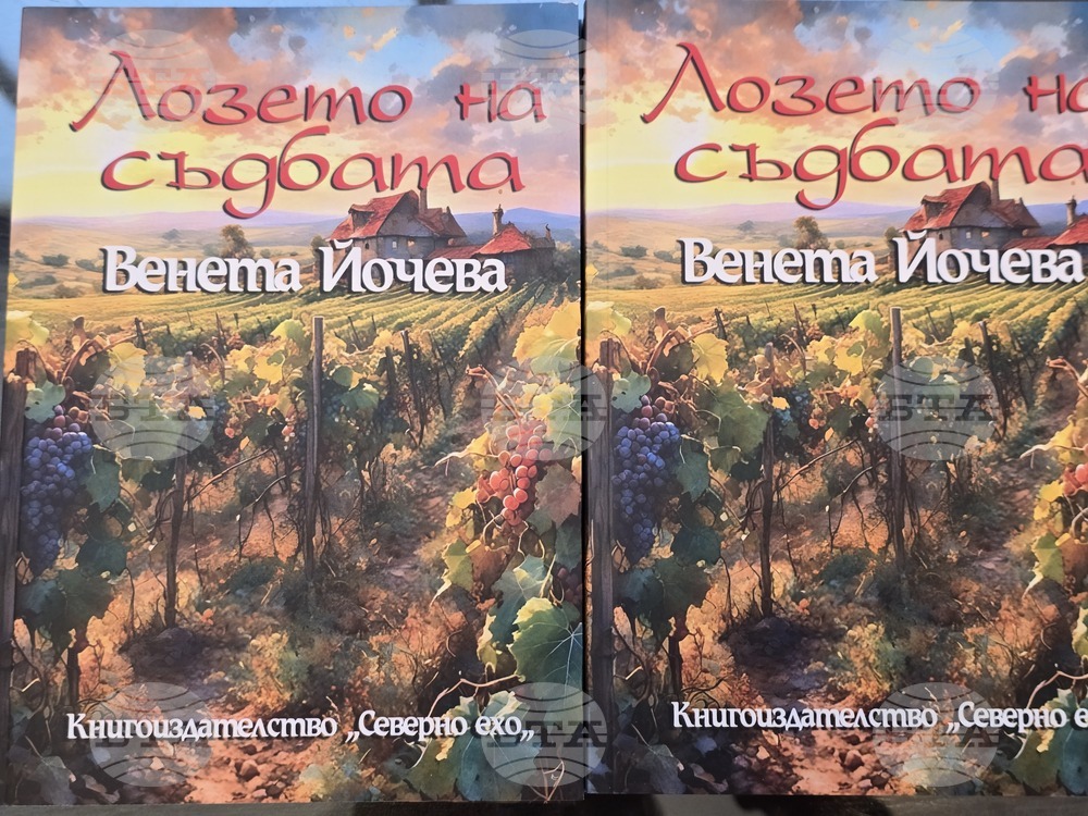 Плевен - книга - Венета Йочева
