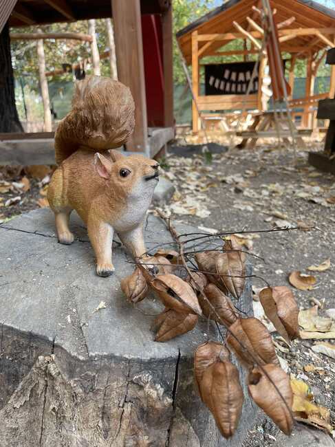 МОСВ: Лаборатории за деца на открито, мебели в парковете от рециклирани материали и зелени библиотеки са сред финансираните проекти по „Чиста околна среда - 2023“