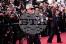 France Cannes 2026 Fatherland Red Carpet