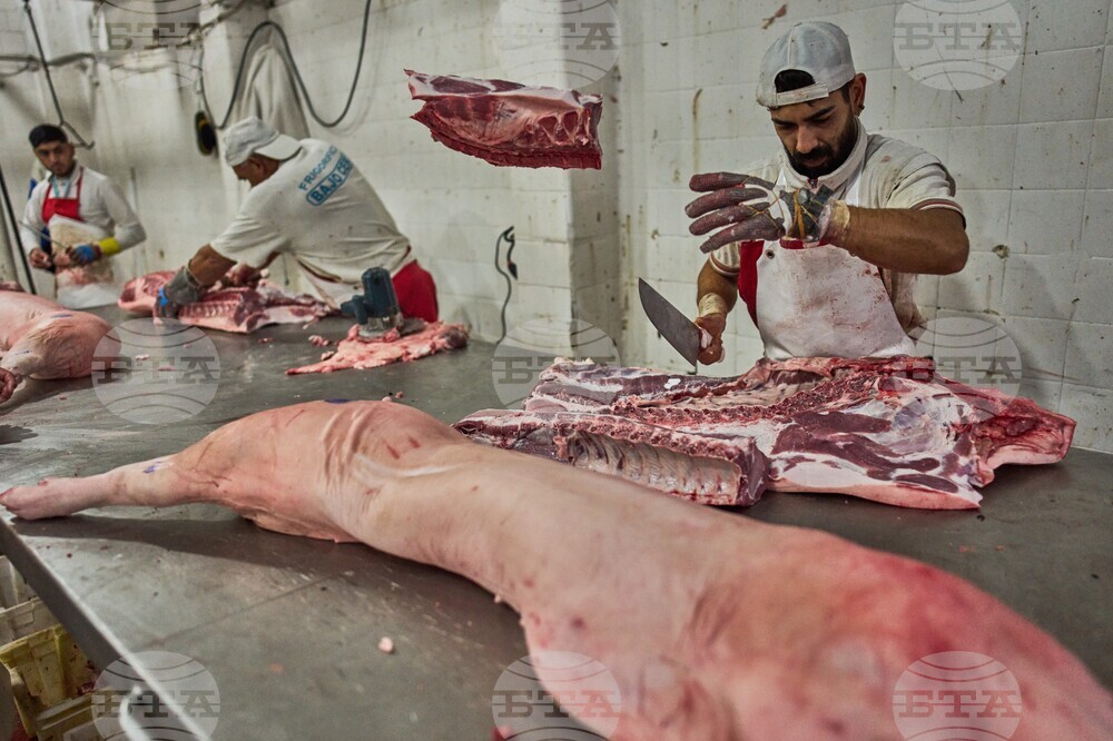 Argentina Meat