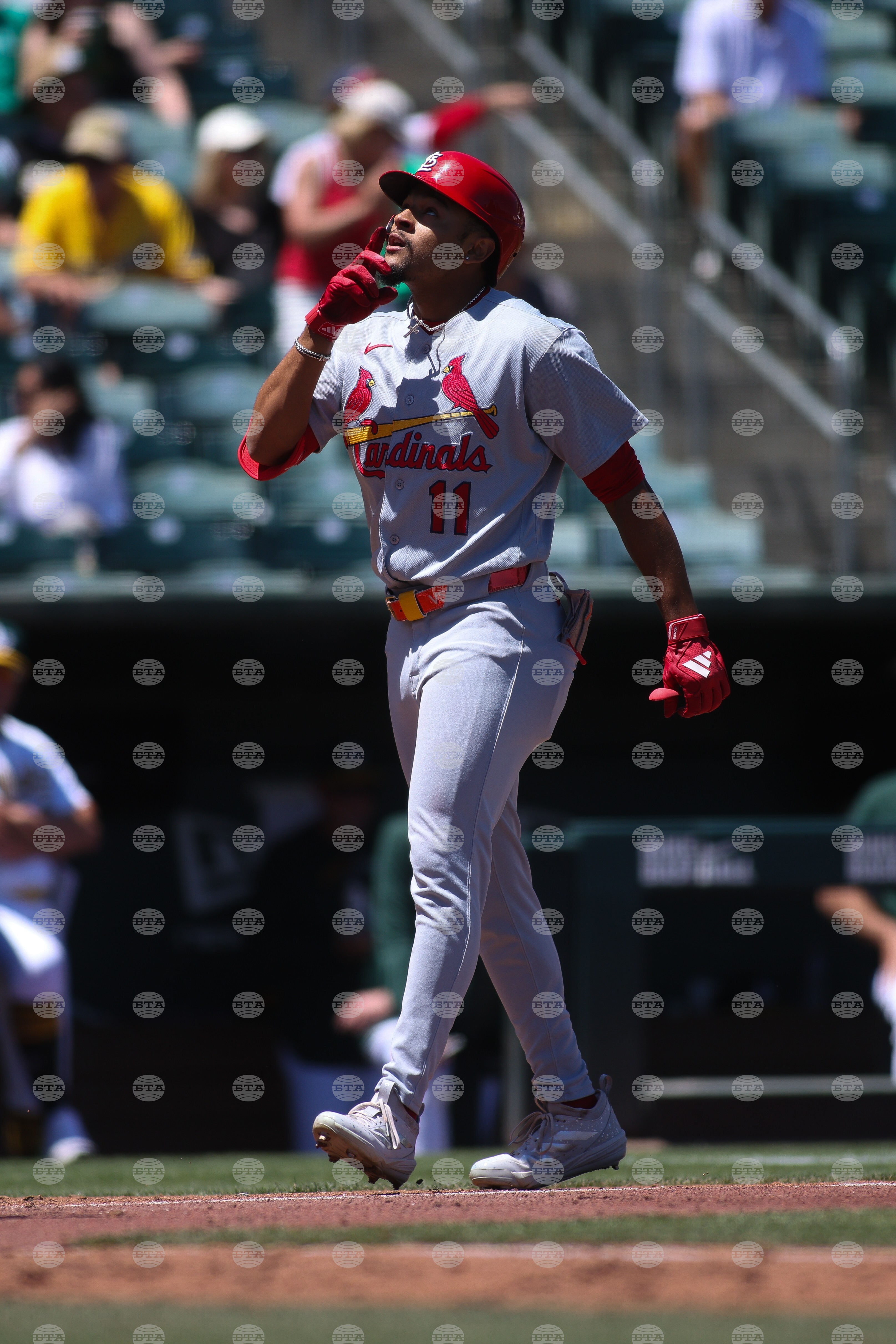 Cardinals Athletics Baseball