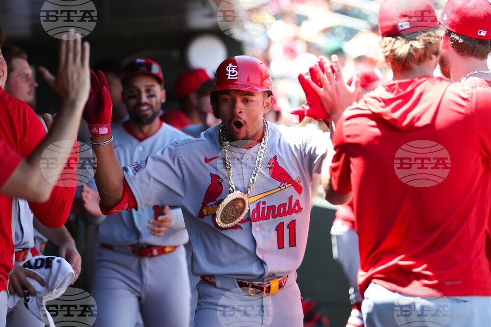 Cardinals Athletics Baseball