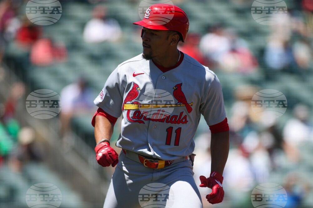 Cardinals Athletics Baseball