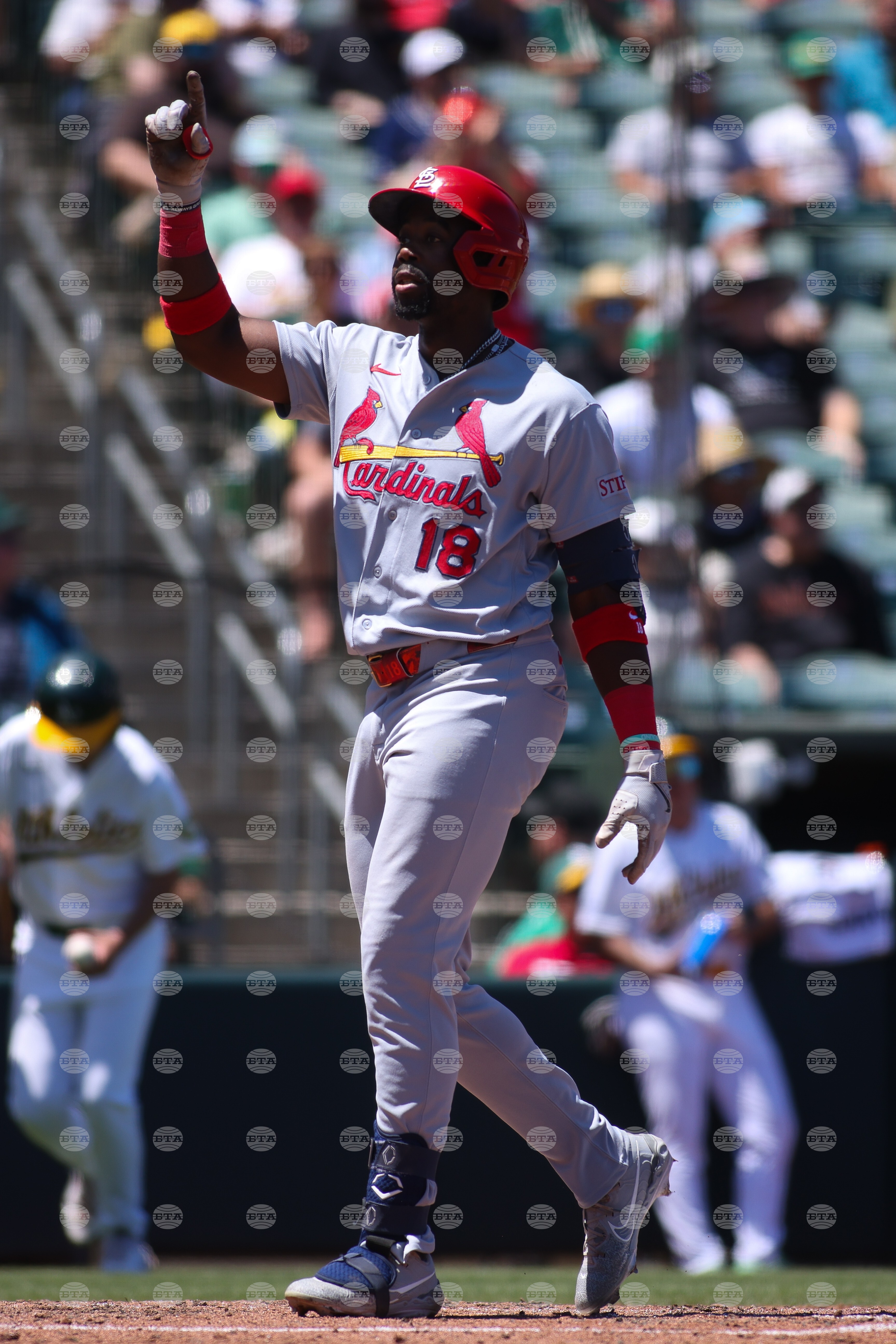 Cardinals Athletics Baseball