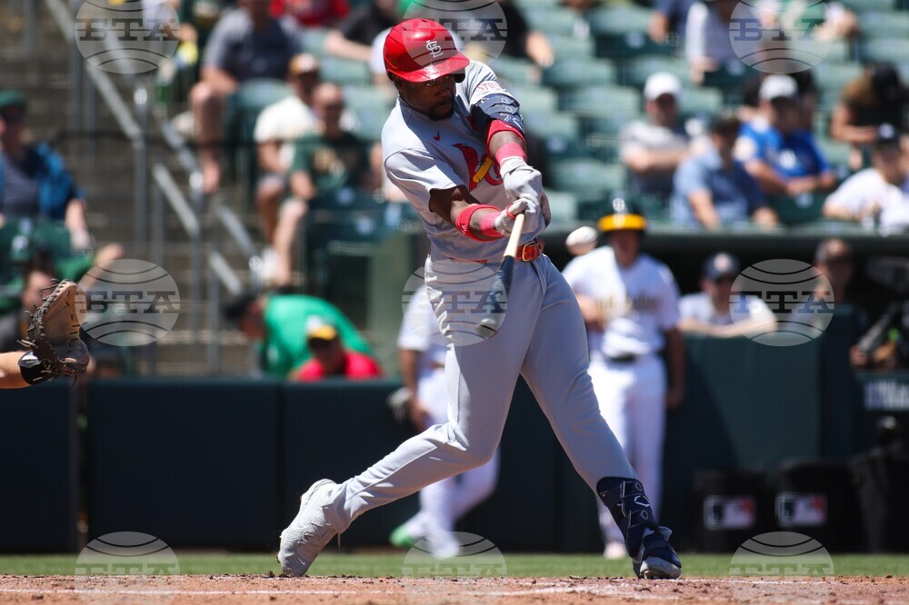 Cardinals Athletics Baseball