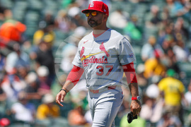 Cardinals Athletics Baseball