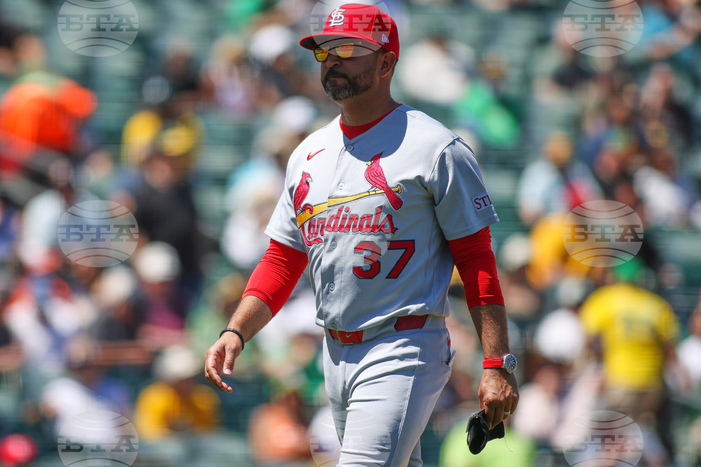 Cardinals Athletics Baseball
