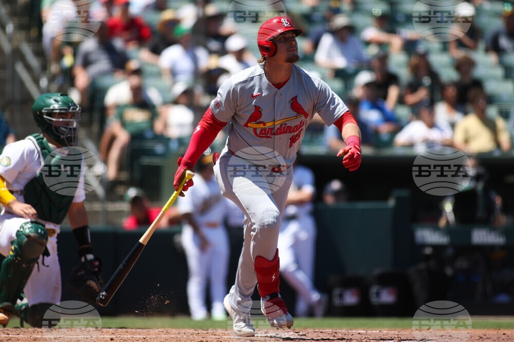 Cardinals Athletics Baseball
