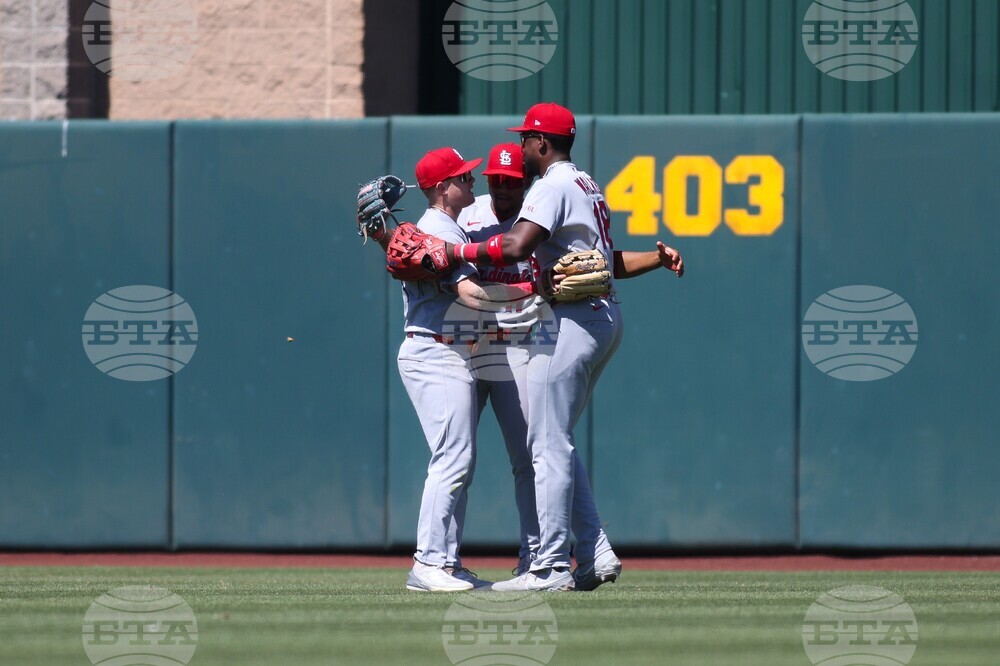 Cardinals Athletics Baseball