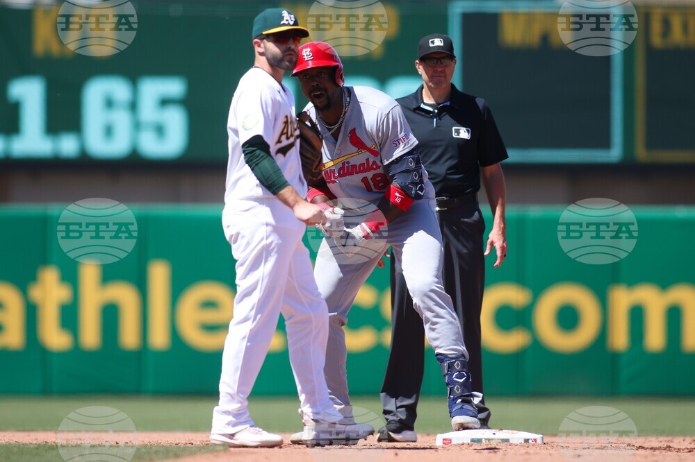 Cardinals Athletics Baseball
