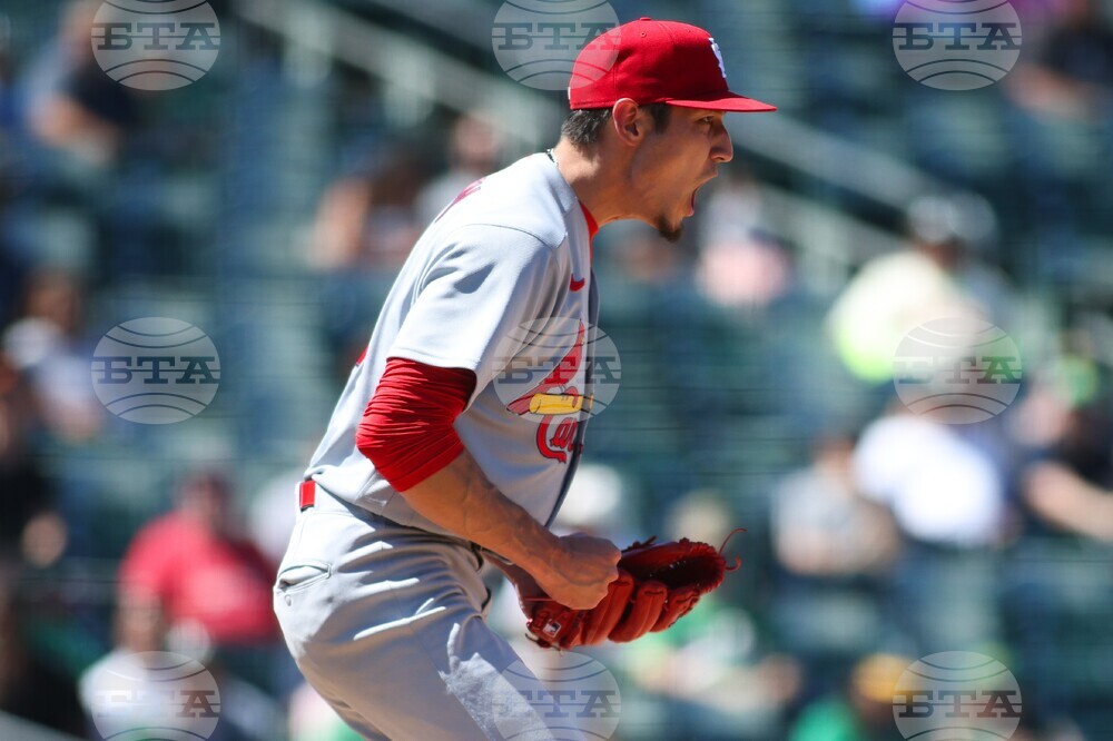 Cardinals Athletics Baseball