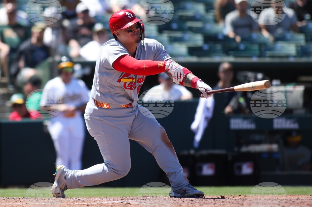 Cardinals Athletics Baseball