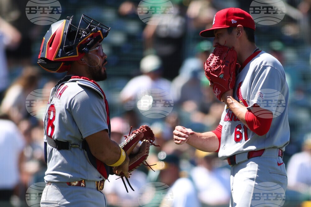 Cardinals Athletics Baseball