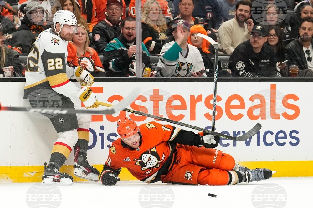 Golden Knights Ducks Hockey