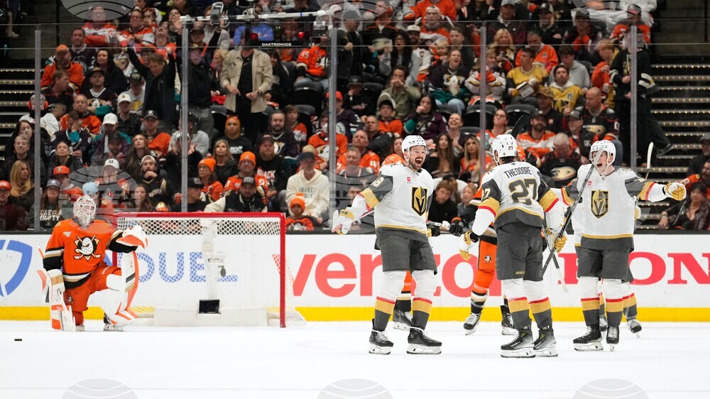 Golden Knights Ducks Hockey