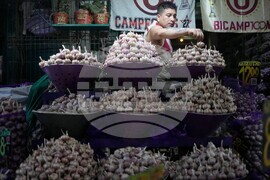 Pictures of the Week Latin America and Caribbean Photo Gallery