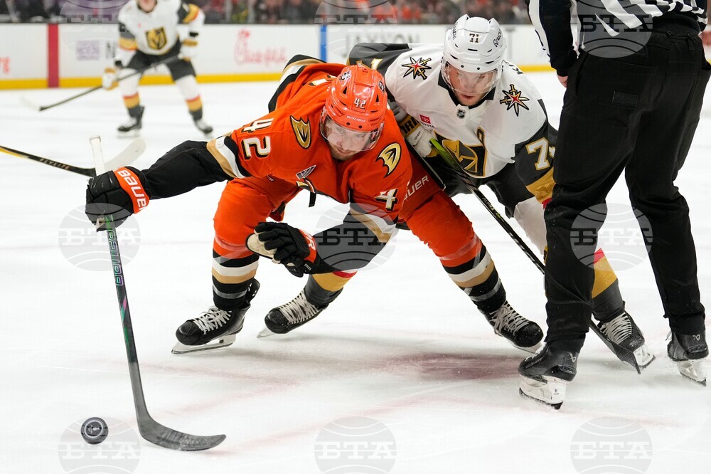 Golden Knights Ducks Hockey