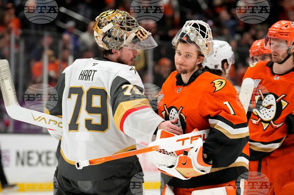 Golden Knights Ducks Hockey