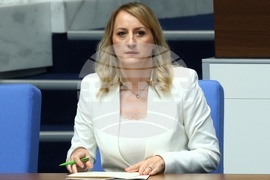 Народно събрание - парламентарен контрол