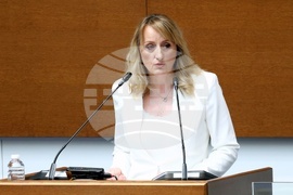 Народно събрание - парламентарен контрол