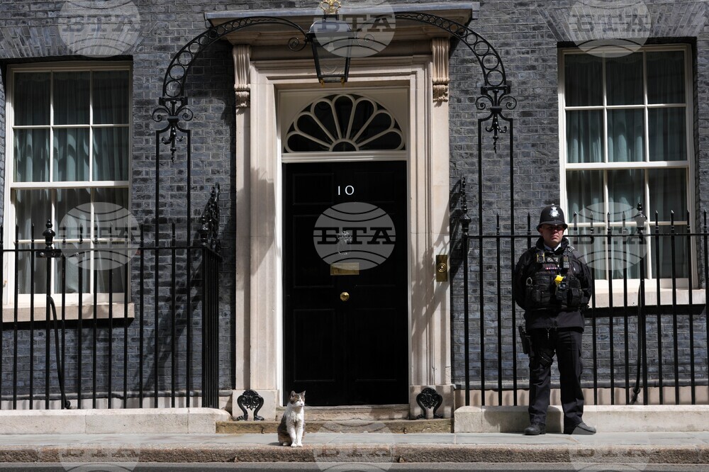 Britain Politics
