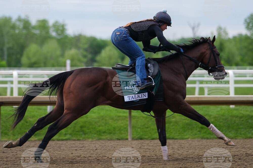 Black Eyed Susan Horse Racing