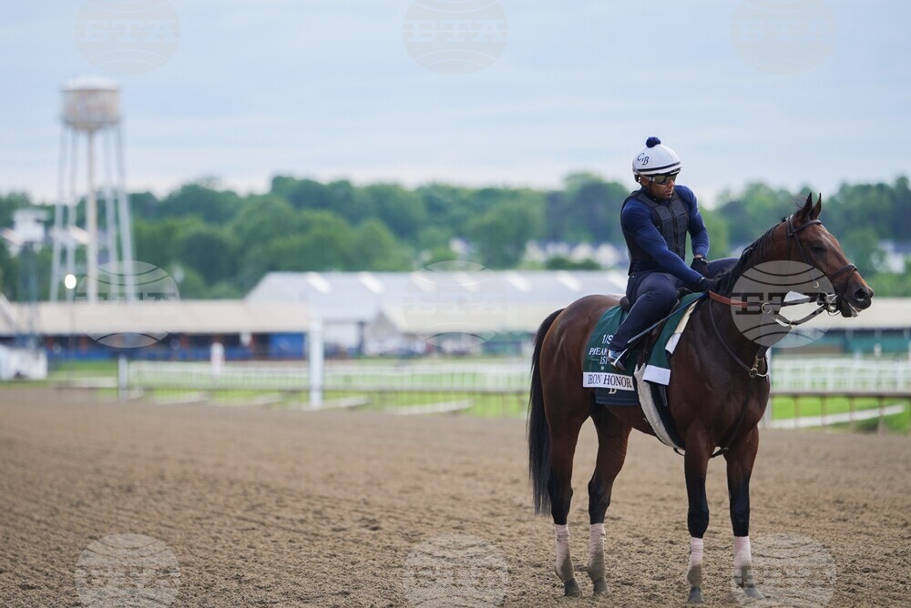 Black Eyed Susan Horse Racing