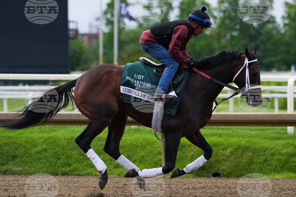 Black Eyed Susan Horse Racing