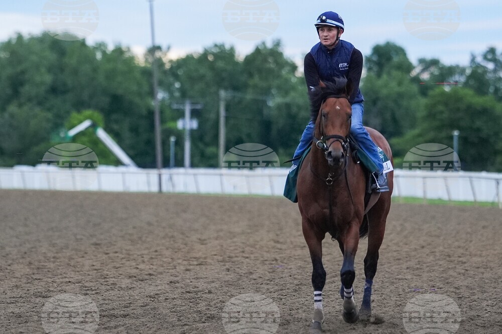 Black Eyed Susan Horse Racing